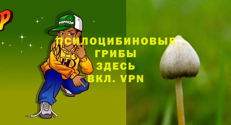 Псилоцибиновые грибы GOLDEN TEACHER  Липки 